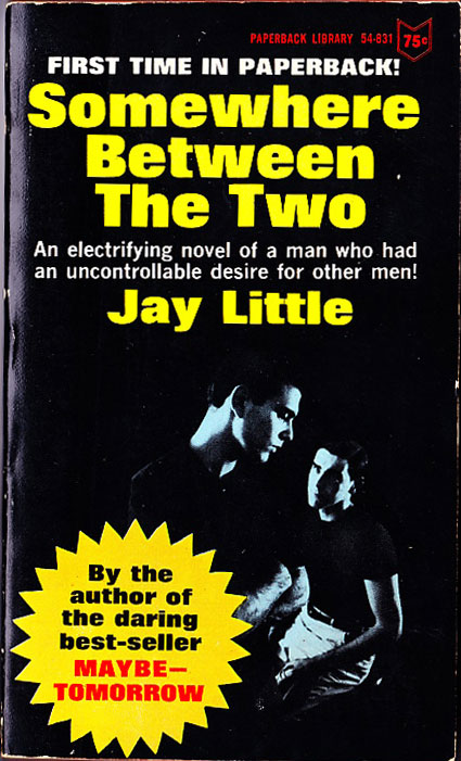 Paperback Cover of the Week: Somewhere Between the Two