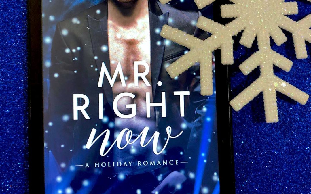 Quick Review – Mr Right Now by Annabeth Albert