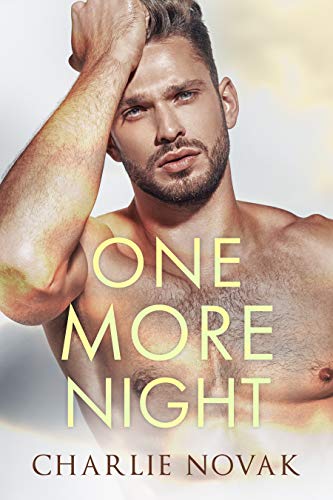 Quick Review: One More Night by Charlie Novak