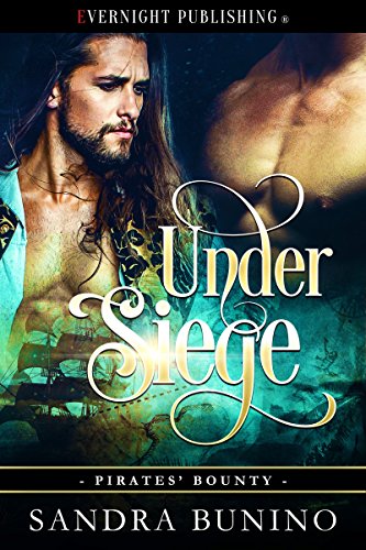 Quick Review: Under Siege by Sandra Bunino